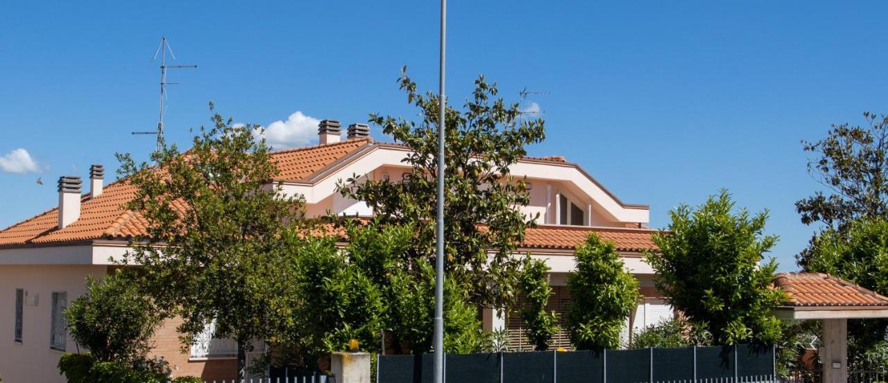 La Principessa Nera B&B Ostra Ngoại thất bức ảnh