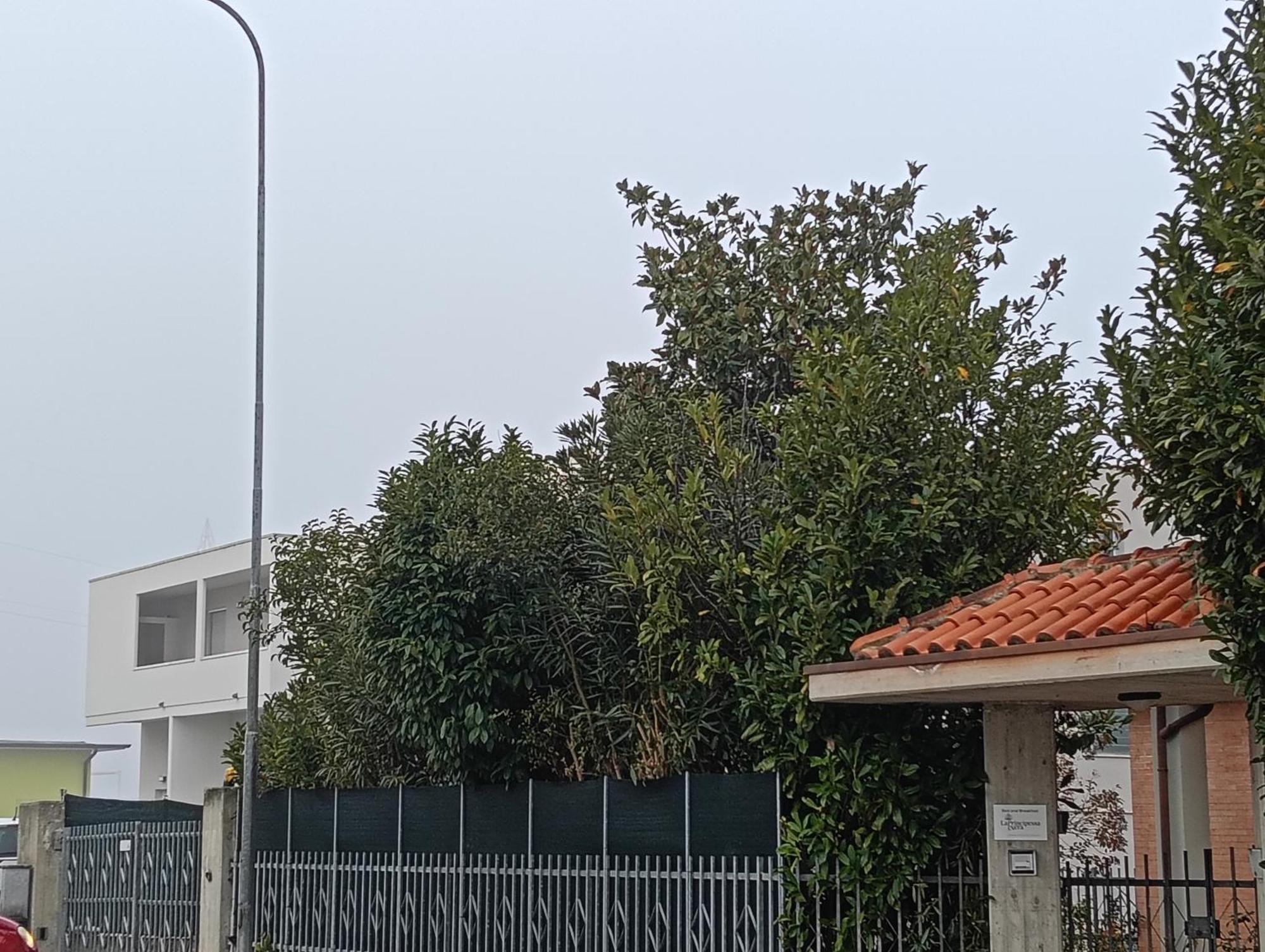 La Principessa Nera B&B Ostra Phòng bức ảnh