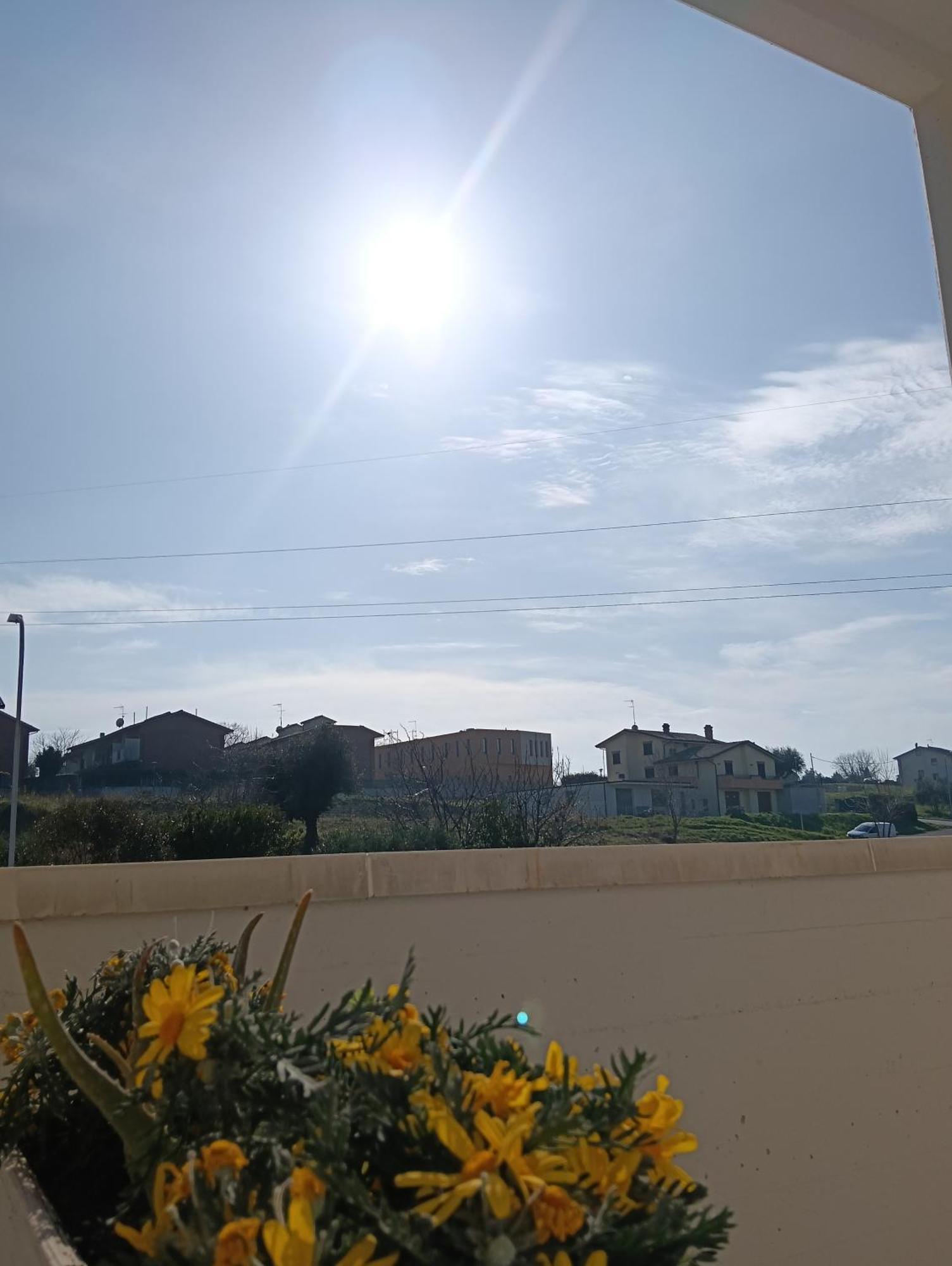 La Principessa Nera B&B Ostra Phòng bức ảnh